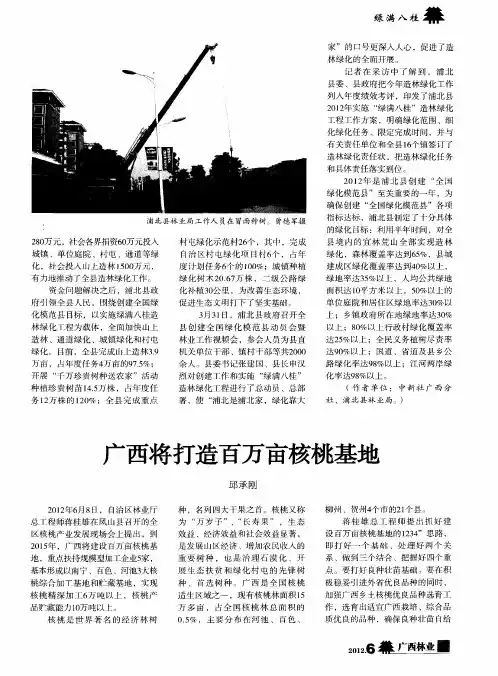 广西将打造百万亩核桃基地