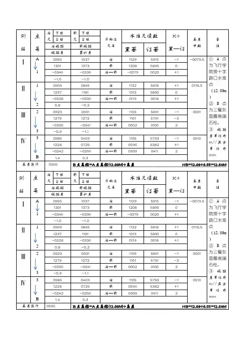 水准测量结果记录表格样板