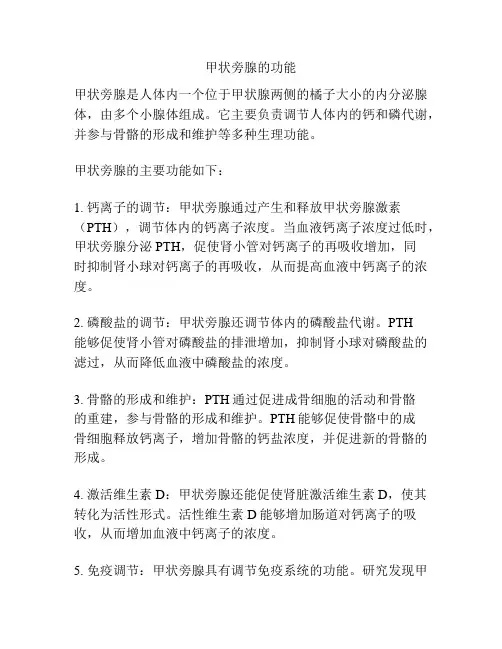 甲状旁腺的功能