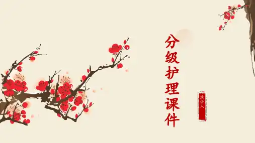 分级护理课件