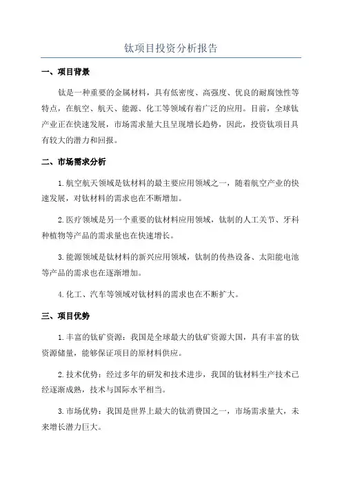 钛项目投资分析报告