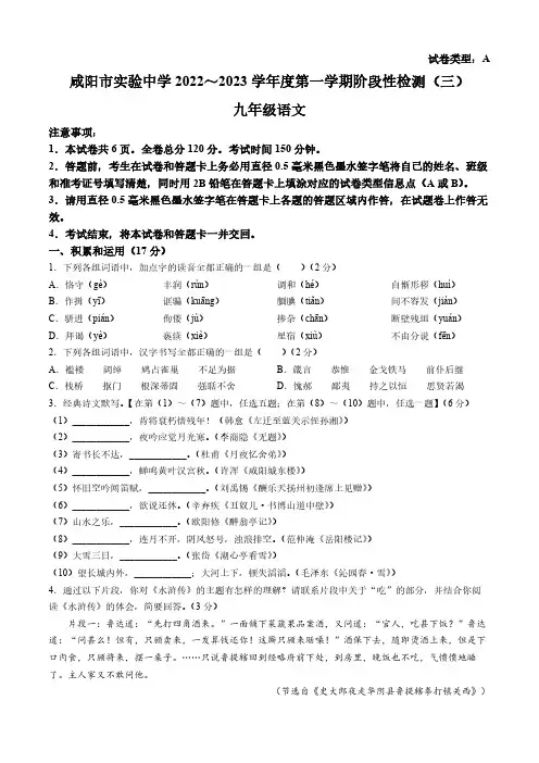 陕西省咸阳市实验中学 2022-2023学年九年级上学期第三次月考语文试题(含答案)