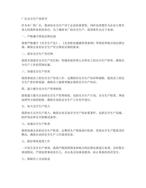 厂长安全生产承诺书