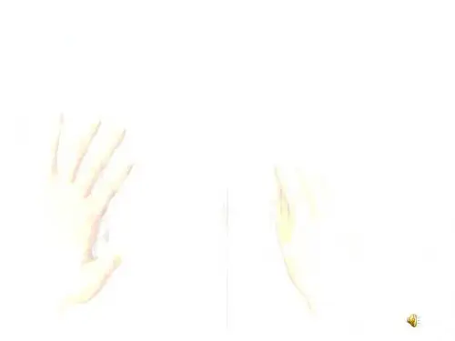 中国海岸地图