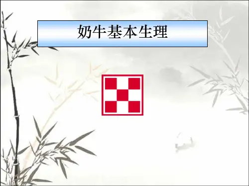 奶牛基本生理--反刍生理和营养 PPT