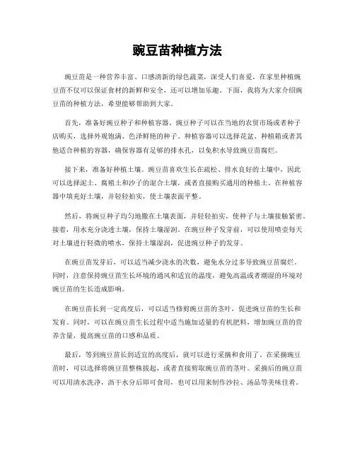 豌豆苗种植方法