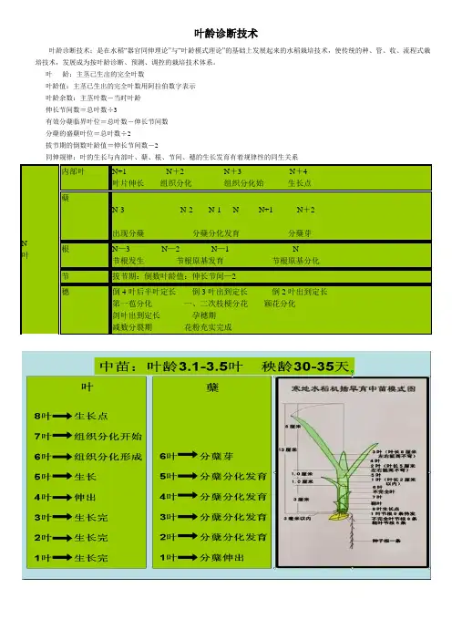 叶龄诊断技术