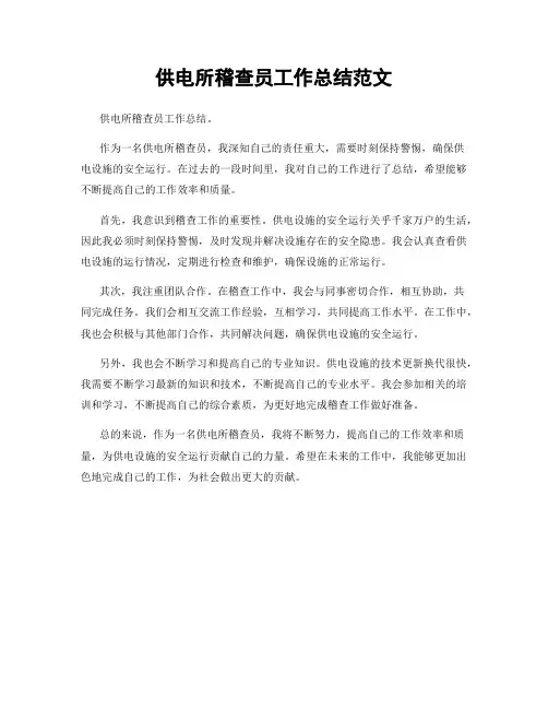供电所稽查员工作总结范文