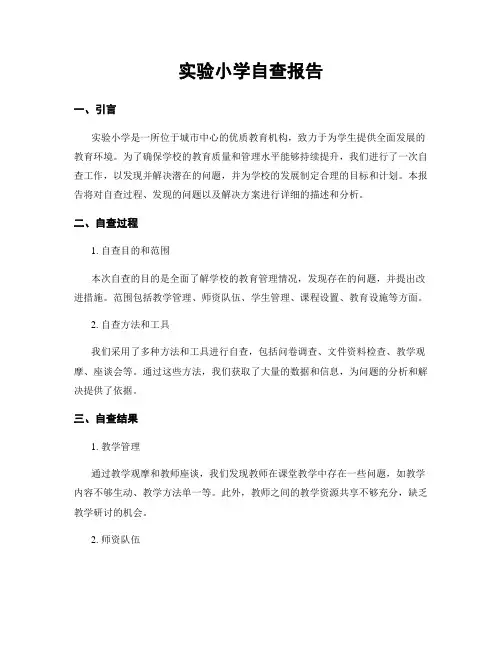 实验小学自查报告