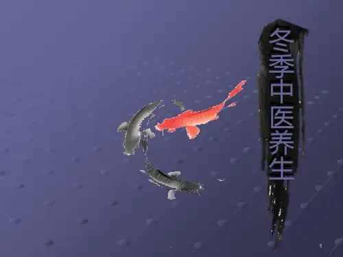 冬季中医养生ppt课件