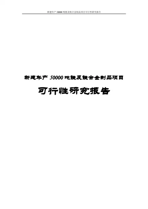 新建年产50000吨镁及镁合金制品项目可行性研究报告