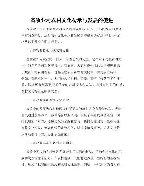 畜牧业对农村文化传承与发展的促进