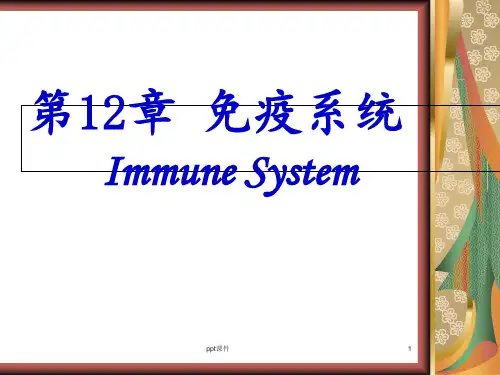 组织学与胚胎学--免疫系统  ppt课件