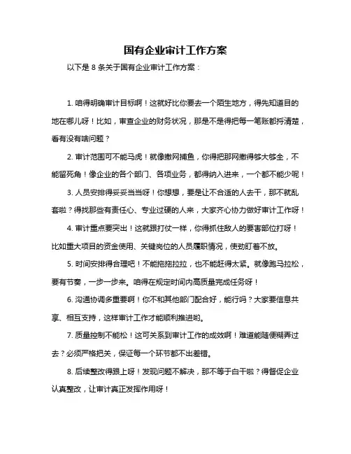 国有企业审计工作方案