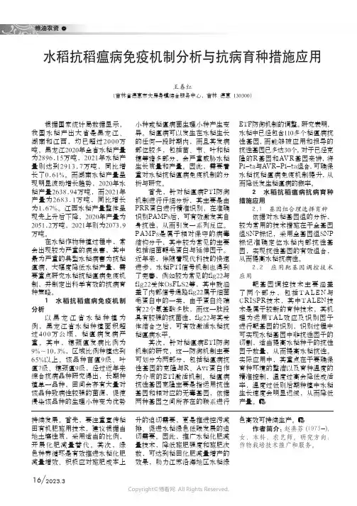 211055772_水稻抗稻瘟病免疫机制分析与抗病育种措施应用
