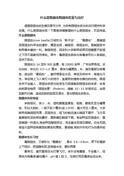 什么是隐翅虫隐翅虫危害与治疗