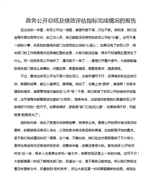 政务公开总结及绩效评估指标完成情况的报告