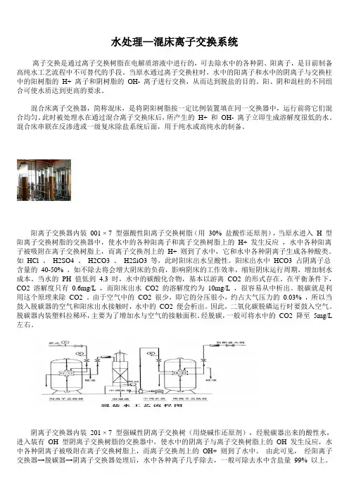 去离子水系统原理