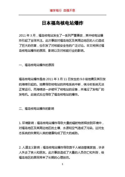 日本福岛核电站爆炸