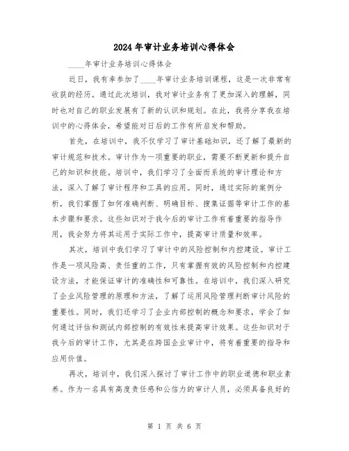 2024年审计业务培训心得体会(3篇)