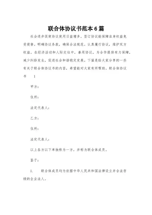联合体协议书范本6篇