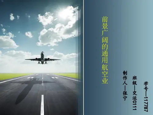 我国通用航空发展策略   .ppt