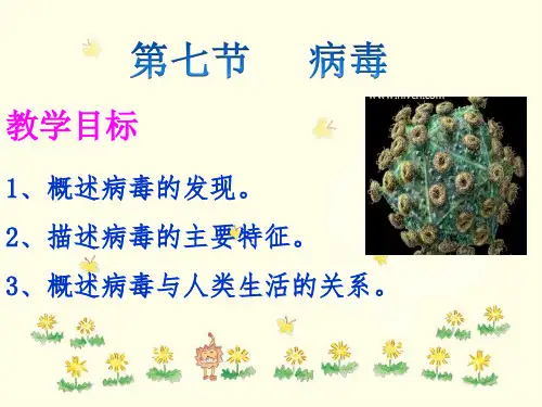 第七节病毒课件(1)(北京版)