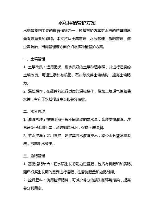 水稻种植管护方案