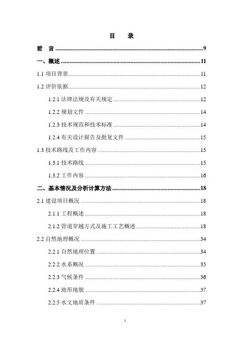 防洪评价报告