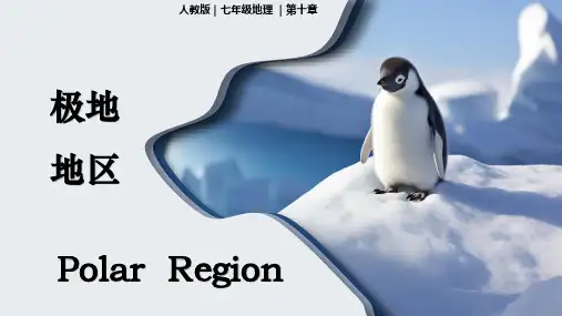  极地地区ppt课件