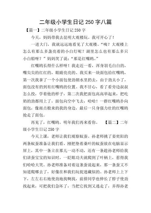 二年级小学生日记250字八篇