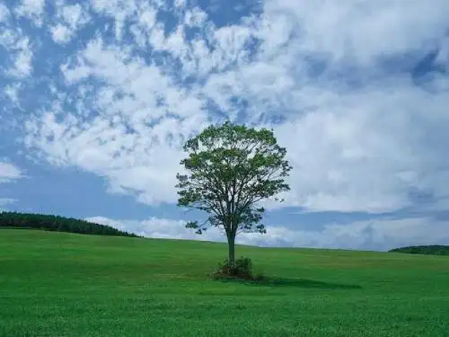 第六章 微生物生长