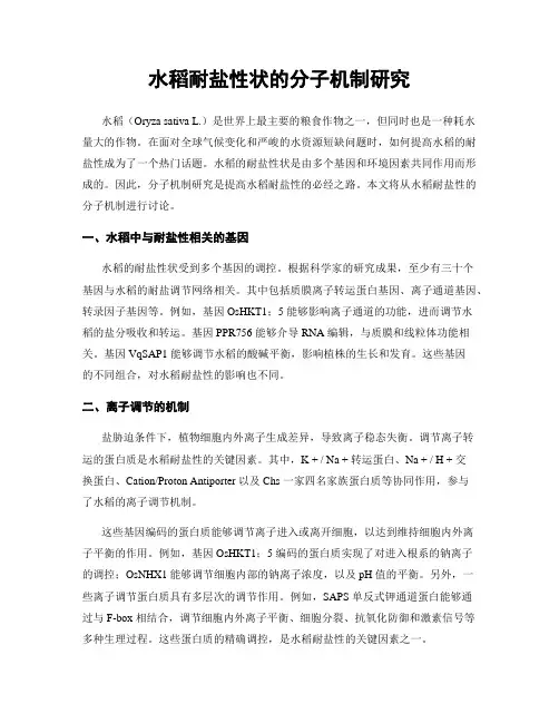 水稻耐盐性状的分子机制研究