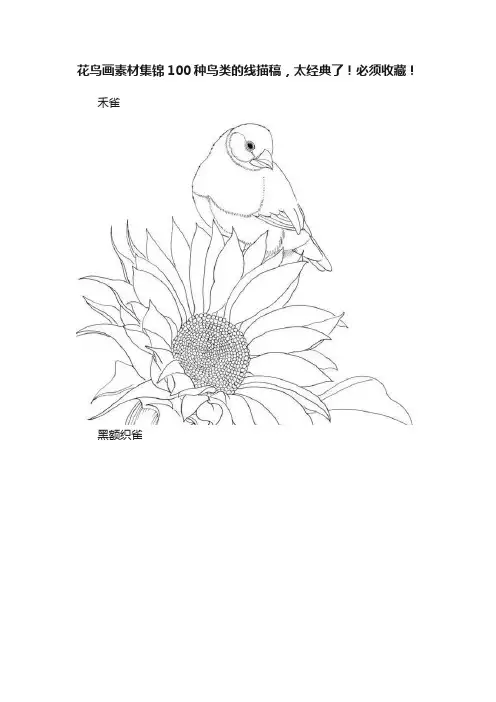 花鸟画素材集锦100种鸟类的线描稿，太经典了！必须收藏！