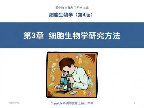 细胞生物学细胞生物学研究方法翟中和四版PPT课件