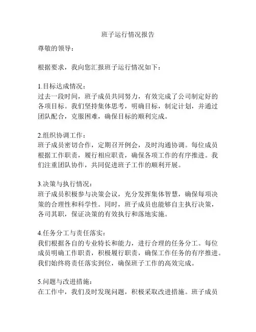 班子运行情况报告
