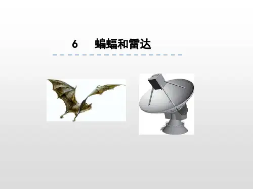 《蝙蝠和雷达》ppt公开课课件部编版小学语文1