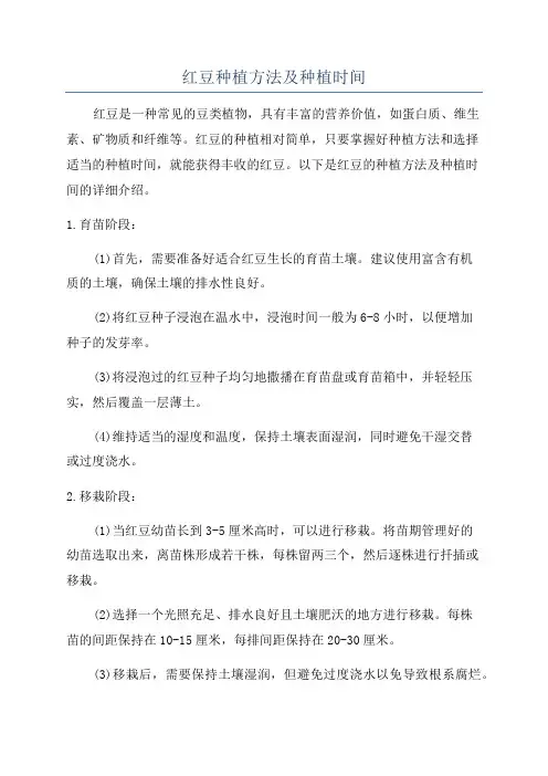 红豆种植方法及种植时间