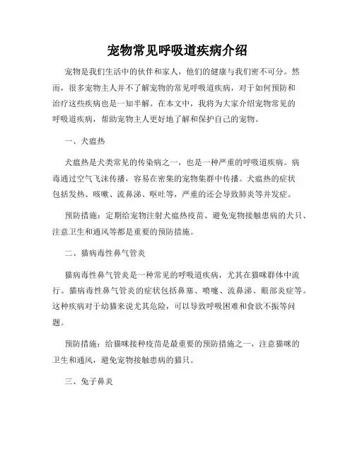 宠物常见呼吸道疾病介绍