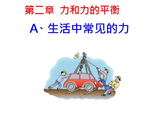 生活中常见的力课件
