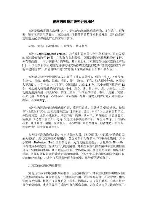 黄连药理作用研究进展概述