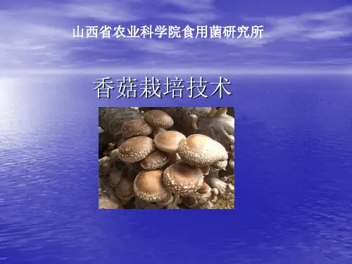 香菇栽培技术