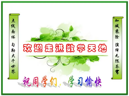 2611二次函数的定义课件新人教版九年级下