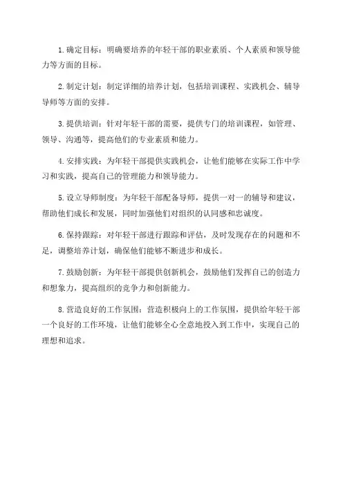 培养年轻干部实施方案