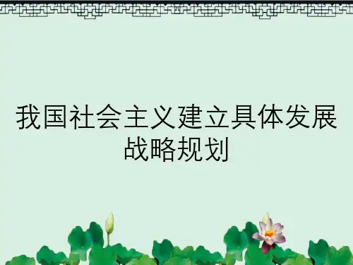 我国社会主义建立具体发展战略规划