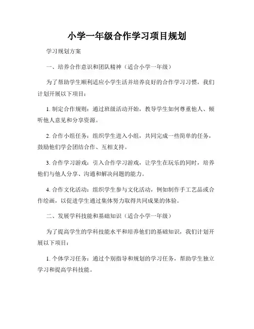 小学一年级合作学习项目规划