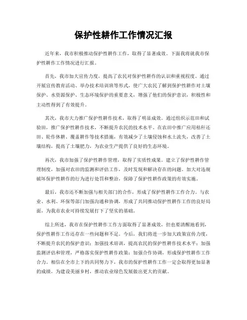 保护性耕作工作情况汇报