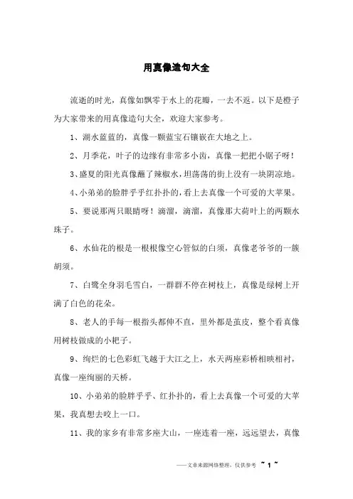 用真像造句大全
