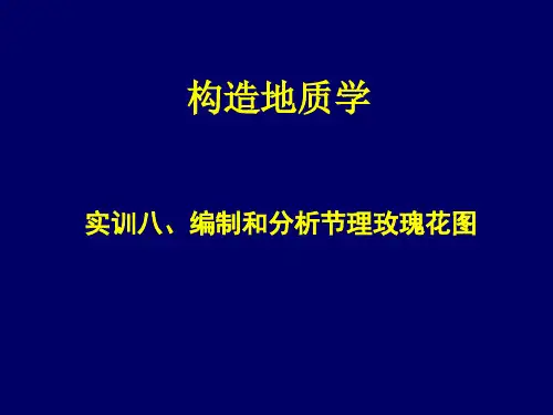 构造地质实训8编制和分析节理玫瑰花图