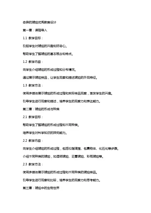 奇异的琥珀教案设计